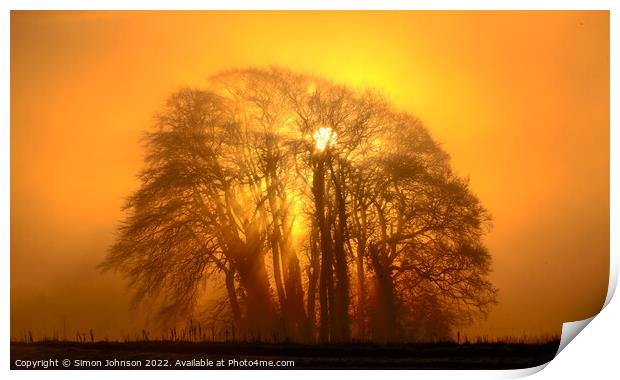 Mist sun, and Trees Print by Simon Johnson