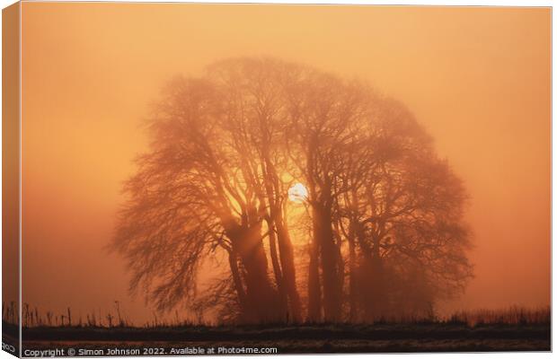 Misty trees and sun Canvas Print by Simon Johnson