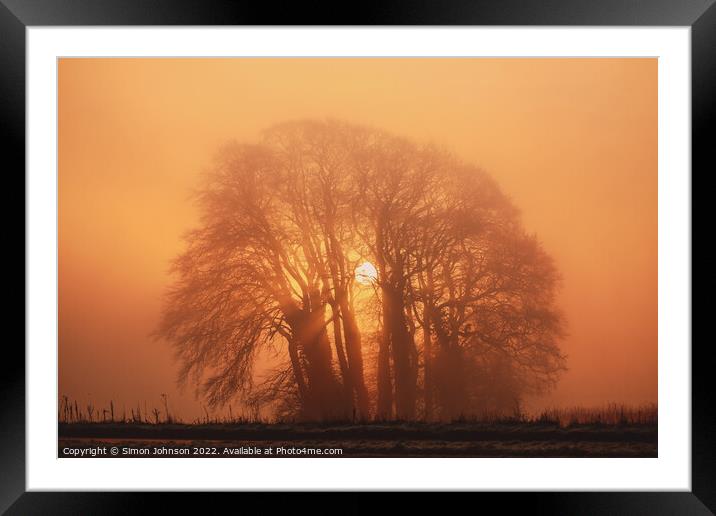 Misty trees and sun Framed Mounted Print by Simon Johnson