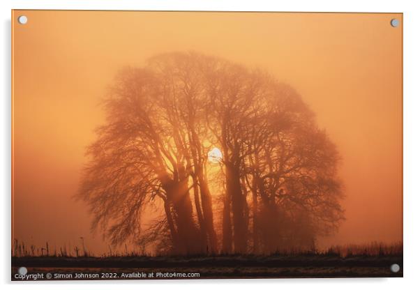 Misty trees and sun Acrylic by Simon Johnson
