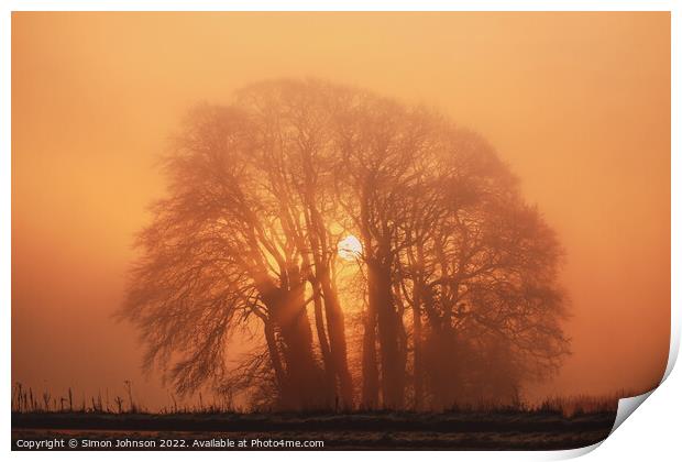 Misty trees and sun Print by Simon Johnson