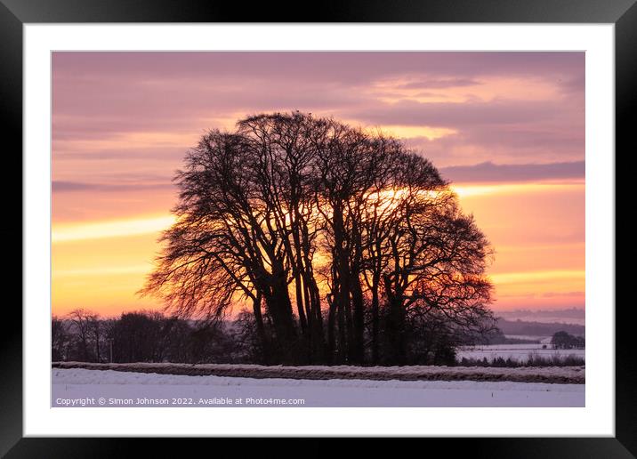 Cotswold trees Framed Mounted Print by Simon Johnson