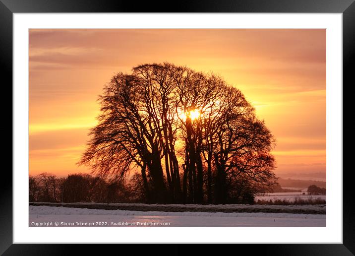 sunrise trees Framed Mounted Print by Simon Johnson