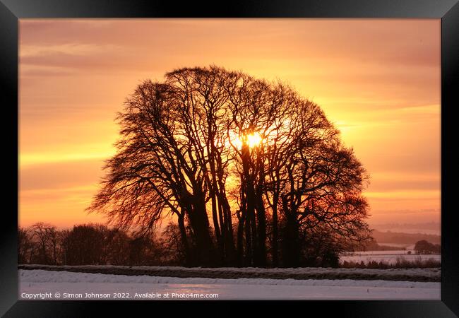 sunrise trees Framed Print by Simon Johnson