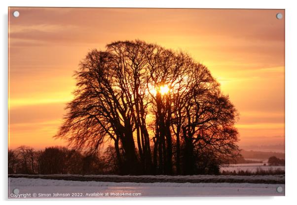 sunrise trees Acrylic by Simon Johnson