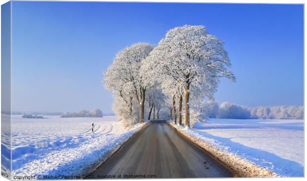 View of a snow-covered country road in winter with sunshine and  Canvas Print by Michael Piepgras