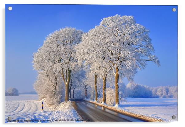 View of a snow-covered country road in winter with sunshine and  Acrylic by Michael Piepgras