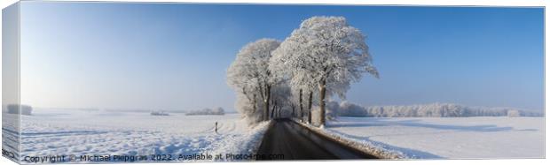 View of a snow-covered country road in winter with sunshine and  Canvas Print by Michael Piepgras