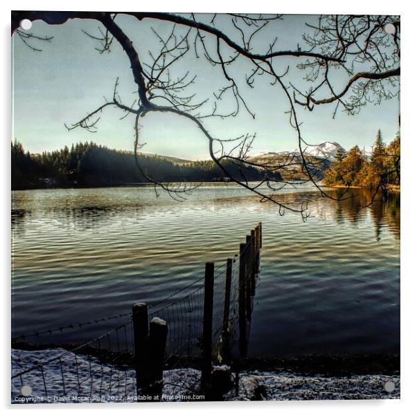 Loch Ard Acrylic by David Mccandlish