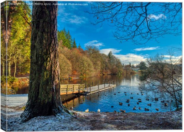 A view of Loch Faskally, Pitlochry Canvas Print by Navin Mistry