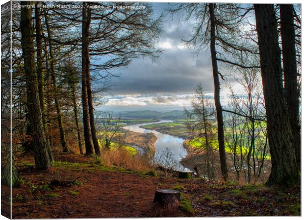 The River Tay seen from a clearing on Kinnoull Hill  Canvas Print by Navin Mistry