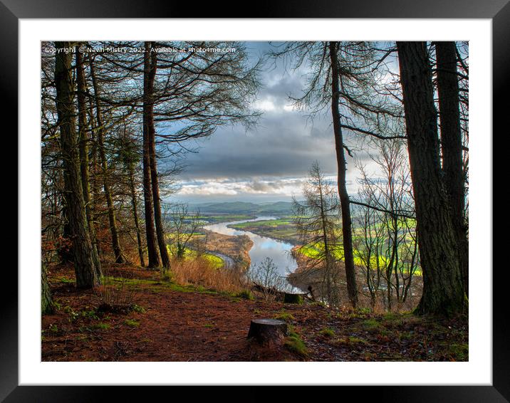 The River Tay seen from a clearing on Kinnoull Hill  Framed Mounted Print by Navin Mistry