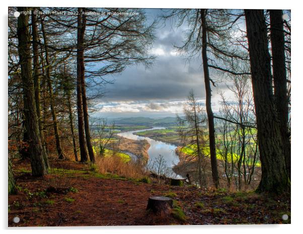 The River Tay seen from a clearing on Kinnoull Hill  Acrylic by Navin Mistry