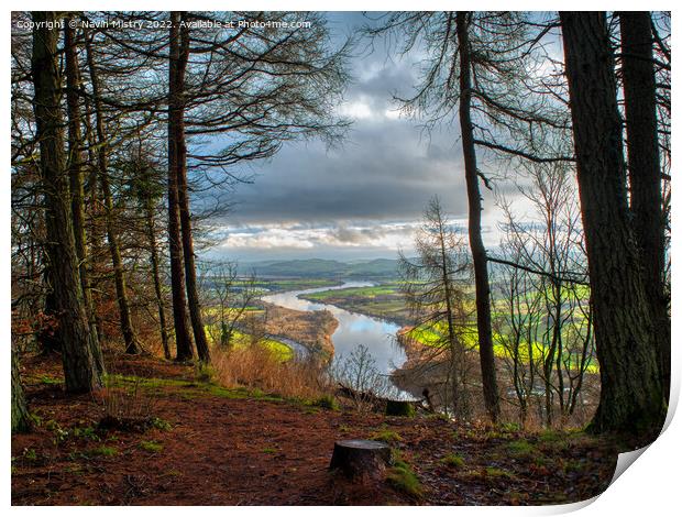 The River Tay seen from a clearing on Kinnoull Hill  Print by Navin Mistry
