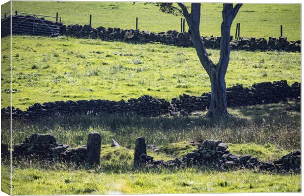 Scenes of Yorkshire 14 Canvas Print by Glen Allen