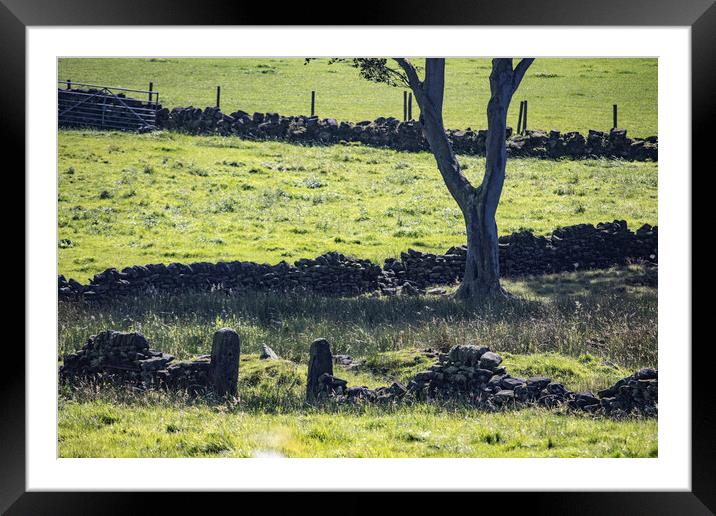 Scenes of Yorkshire 14 Framed Mounted Print by Glen Allen