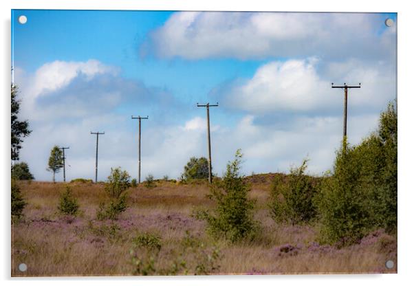 Power Lines over Norland Moor Acrylic by Glen Allen