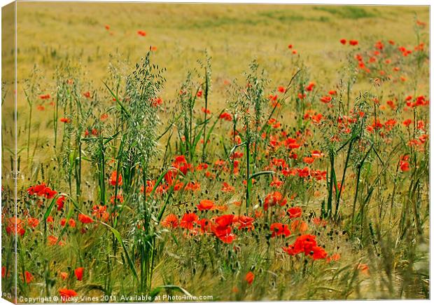 Poppy Field Canvas Print by Nicky Vines