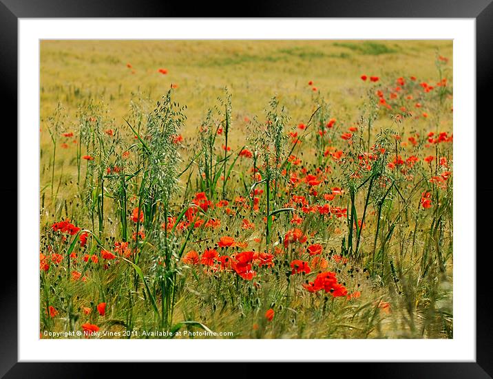 Poppy Field Framed Mounted Print by Nicky Vines