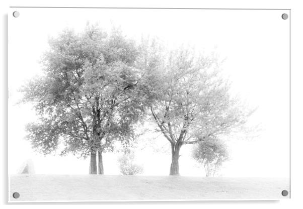 Misty Dawn - Mono Acrylic by Glen Allen