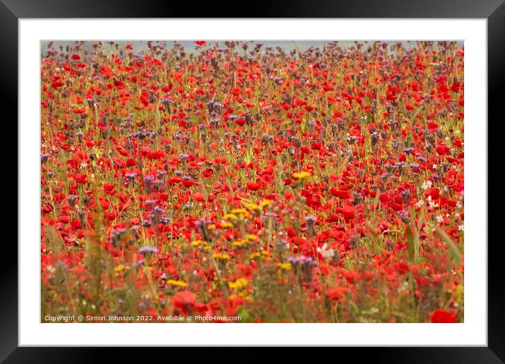 Summer poppy field Framed Mounted Print by Simon Johnson
