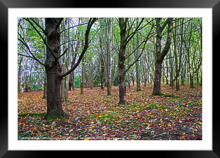 Three Greengos Framed Mounted Print by GJS Photography Artist