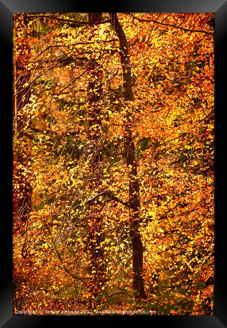 Autumn Fire Framed Print by Simon Johnson