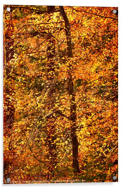 Autumn Fire Acrylic by Simon Johnson