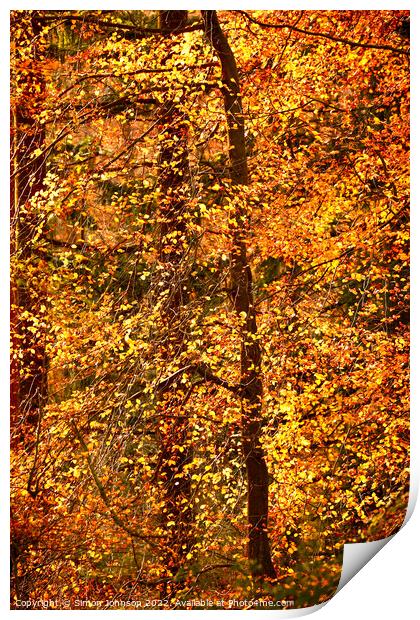 Autumn Fire Print by Simon Johnson