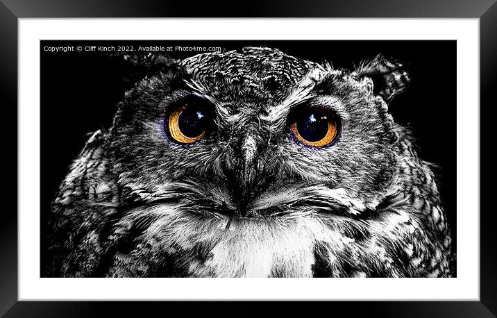 Abstract staring owl Framed Mounted Print by Cliff Kinch