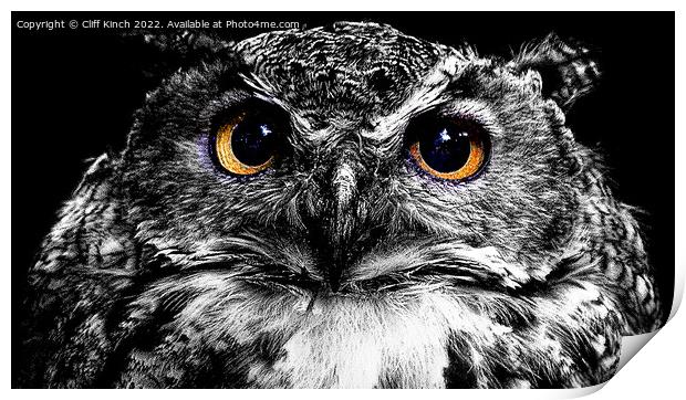 Abstract staring owl Print by Cliff Kinch
