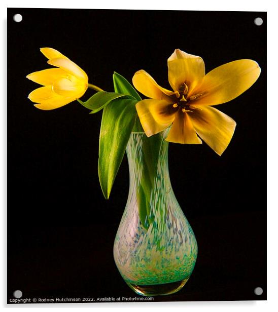 Sunshine in a Vase Acrylic by Rodney Hutchinson
