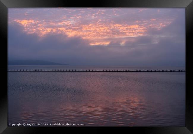 Purple Haze Framed Print by Roy Curtis