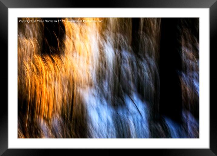 Morning Sun in Pine Forest Abstract 1 Framed Mounted Print by Taina Sohlman