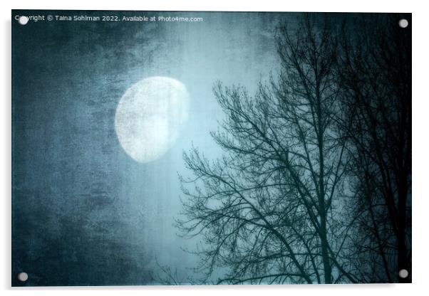 Winter Moon Acrylic by Taina Sohlman