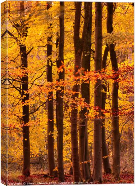 Autumn colour  Canvas Print by Simon Johnson