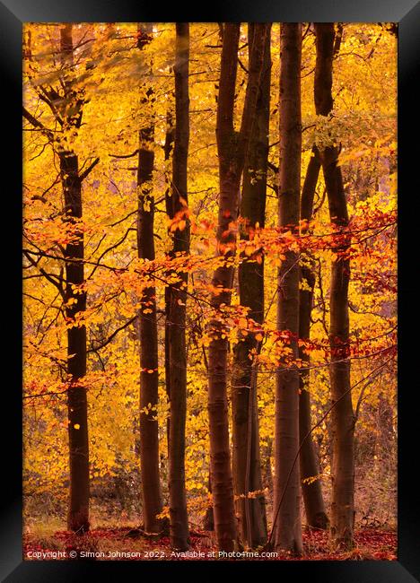 Autumn colour  Framed Print by Simon Johnson