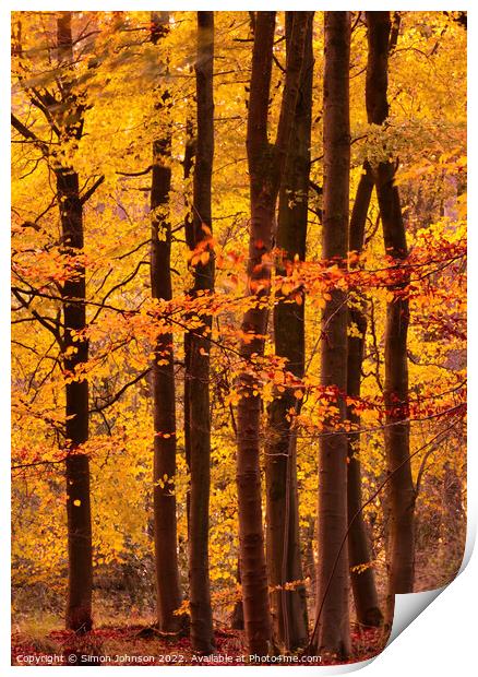 Autumn colour  Print by Simon Johnson