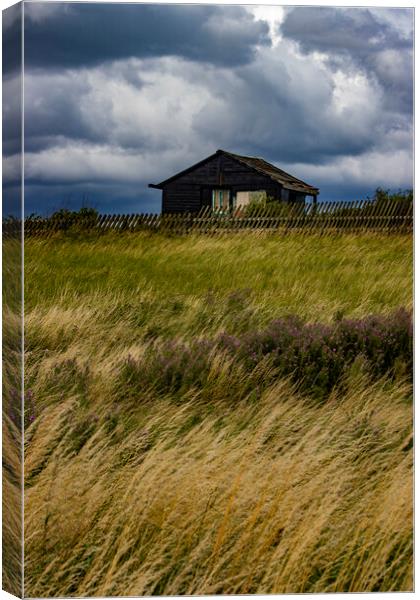 Stormy Shed Canvas Print by Glen Allen