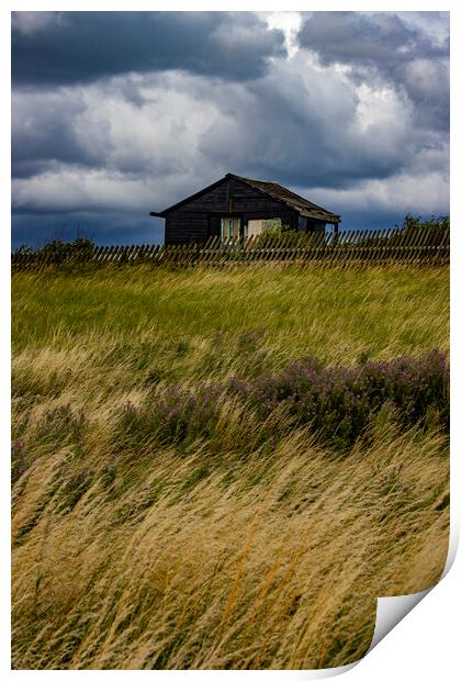 Stormy Shed Print by Glen Allen