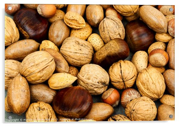 Mixed nuts, food background Acrylic by Mykola Lunov Mykola