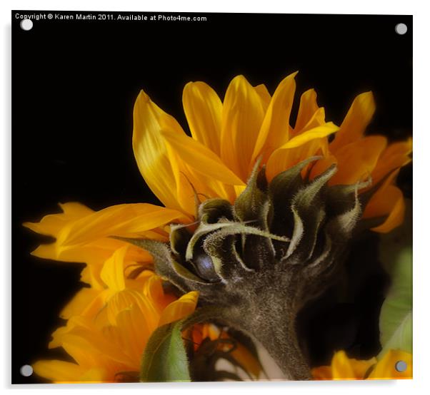 Sunflower Acrylic by Karen Martin