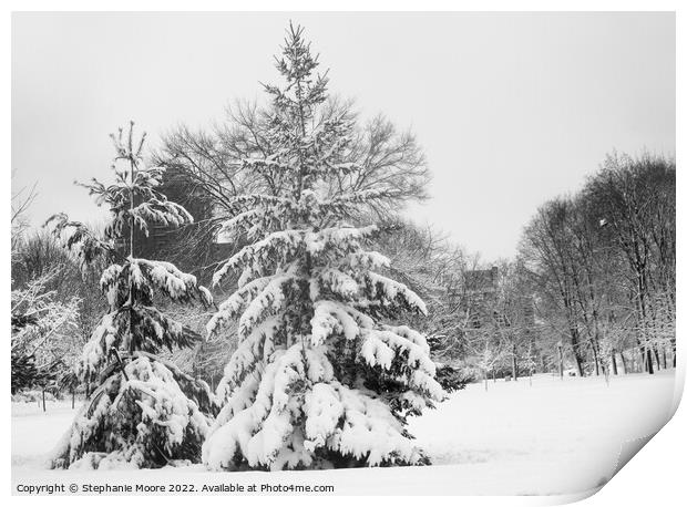 Snow covered trees Print by Stephanie Moore