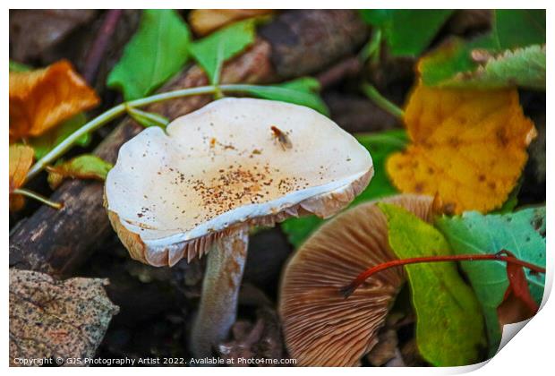 Toxic Beauty in Autumn Print by GJS Photography Artist