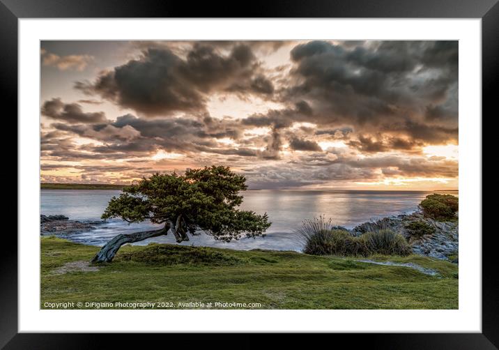 Making A Stand Framed Mounted Print by DiFigiano Photography