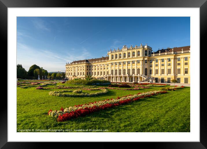 Schoenbrunn Palace Framed Mounted Print by DiFigiano Photography