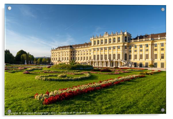 Schoenbrunn Palace Acrylic by DiFigiano Photography