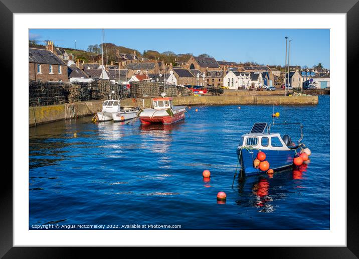Fishing boats in Johnshaven harbour in Aberdeenshire, Scotland Framed Mounted Print by Angus McComiskey