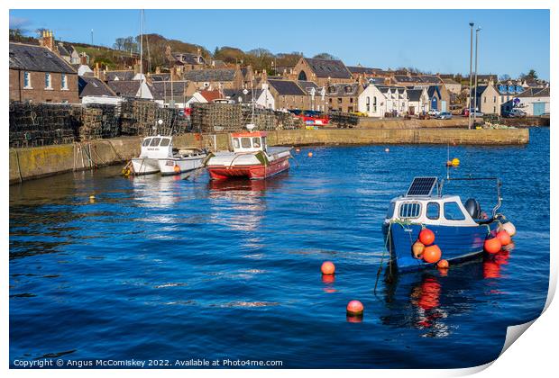 Fishing boats in Johnshaven harbour in Aberdeenshire, Scotland Print by Angus McComiskey