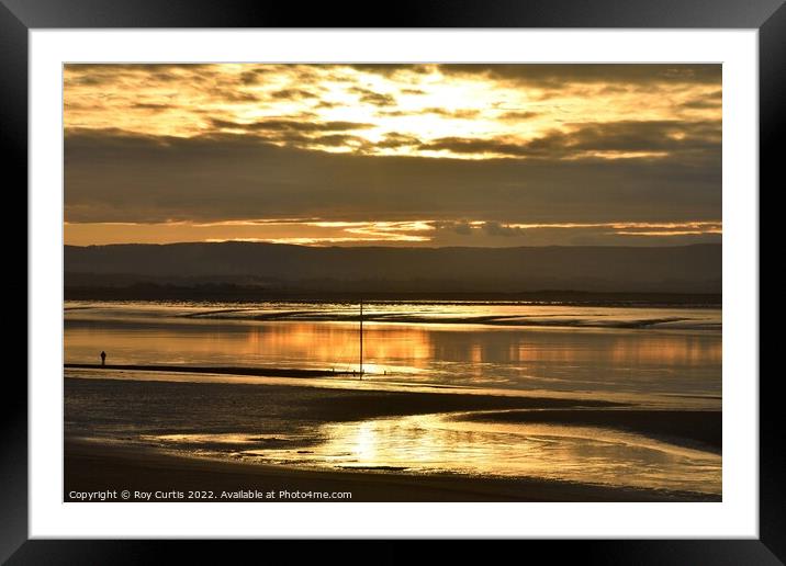 Liquid Gold Framed Mounted Print by Roy Curtis